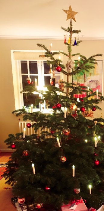 Usprøjtede juletræer fra Frydenborggaard